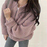 Christmas Gift Student Girl Korean Style Chic Retro Sweet Western Style Age Reduction Loose Casual All-Match Zipper Sweater Sweater Coat