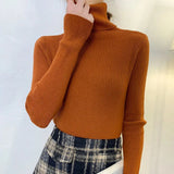 Joskaa MEXZT Harajuku Pullover Turtleneck Sweater Women Fall Soft Knit Sweater Slim Elastic Korean Simple Basic Cheap Jumper Solid Tops